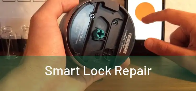  Smart Lock Repair 